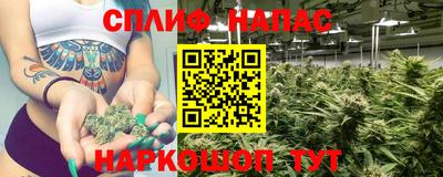метадон Новозыбков