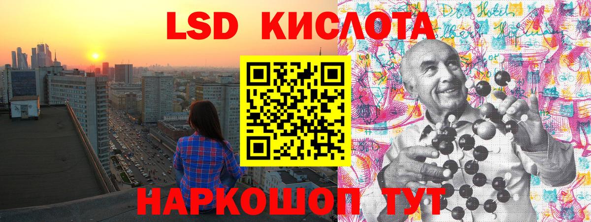 Лсд 25 Сланцы